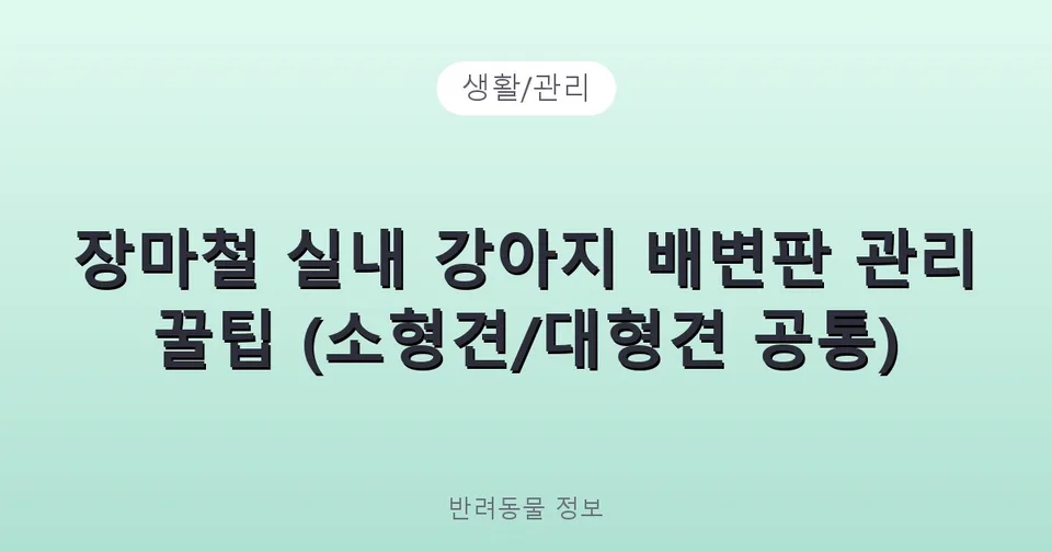 장마철 실내 강아지 배변판 관리 꿀팁 (소형견/대형견 공통)