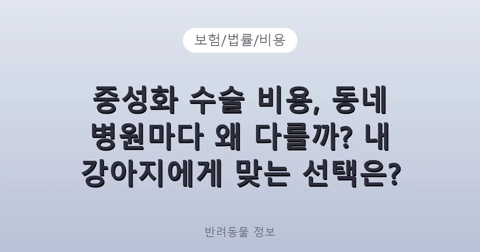중성화 수술 비용, 동네 병원마다 왜 다를까? 내 강아지에게 맞는 선택은?