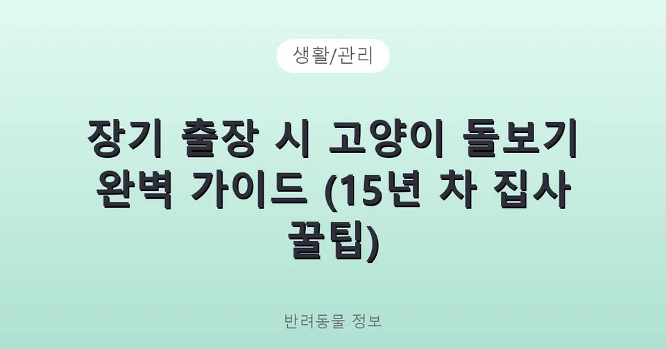 장기 출장 시 고양이 돌보기 완벽 가이드 (15년 차 집사 꿀팁)