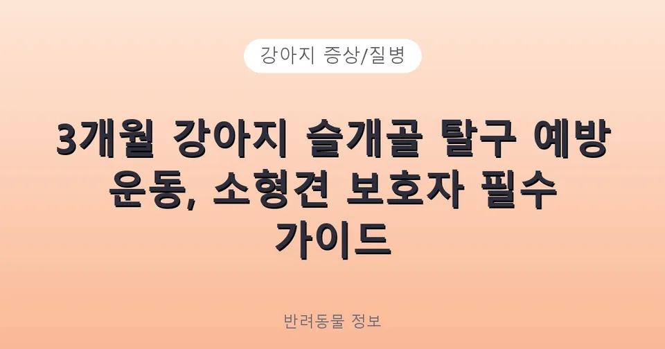 3개월 강아지 슬개골 탈구 예방 운동, 소형견 보호자 필수 가이드