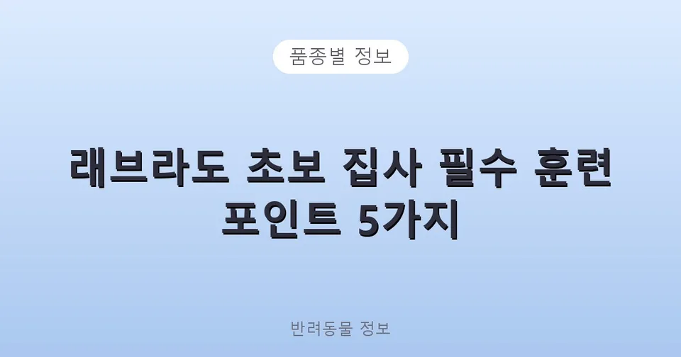 래브라도 초보 집사 필수 훈련 포인트 5가지