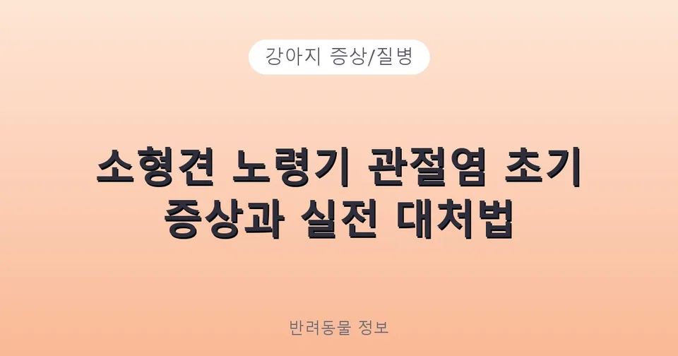 소형견 노령기 관절염 초기 증상과 실전 대처법