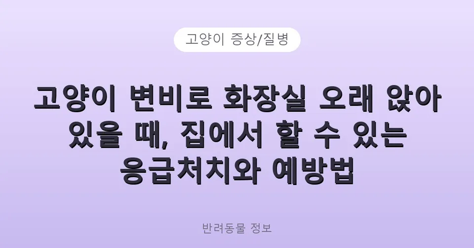 고양이 변비로 화장실 오래 앉아 있을 때, 집에서 할 수 있는 응급처치와 예방법
