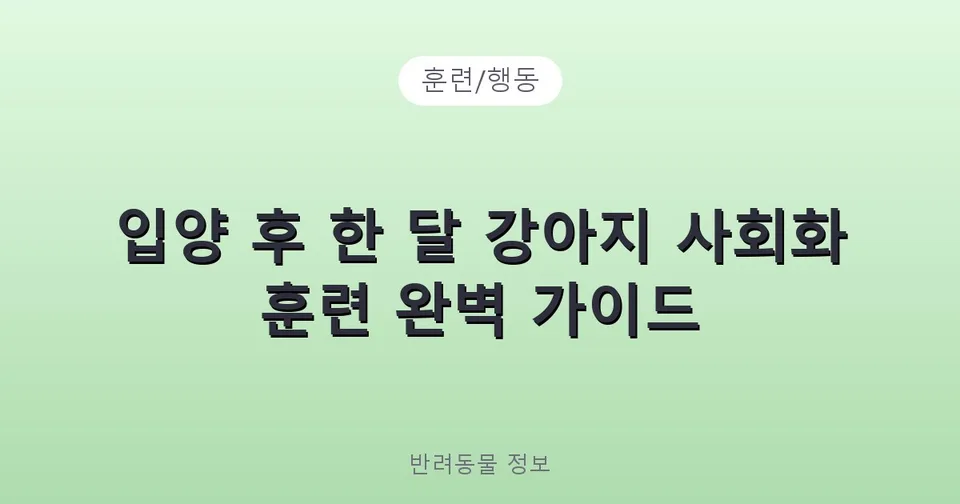 입양 후 한 달 강아지 사회화 훈련 완벽 가이드