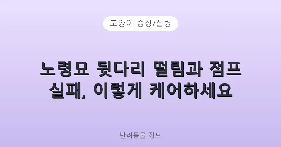 노령묘 뒷다리 떨림과 점프 실패, 이렇게 케어하세요