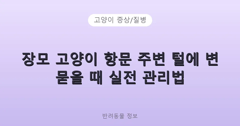 장모 고양이 항문 주변 털에 변 묻을 때 실전 관리법