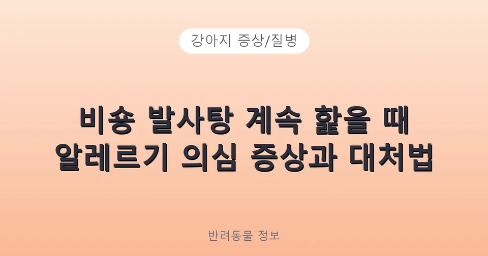 비숑 발사탕 계속 핥을 때 알레르기 의심 증상과 대처법