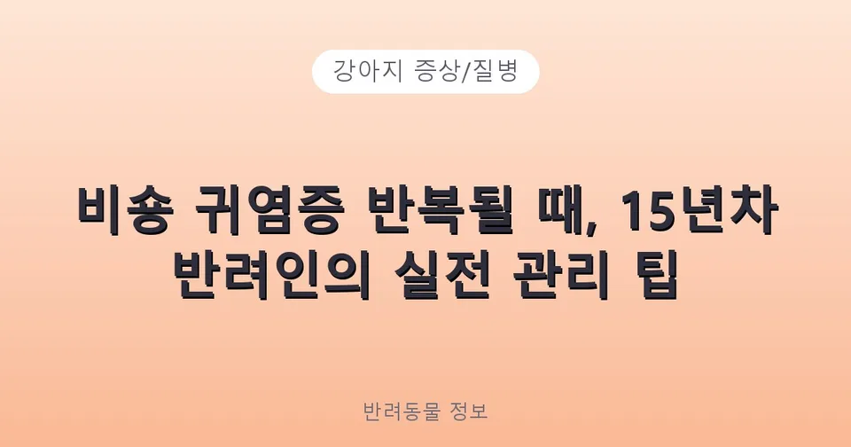 비숑 귀염증 반복될 때, 15년차 반려인의 실전 관리 팁