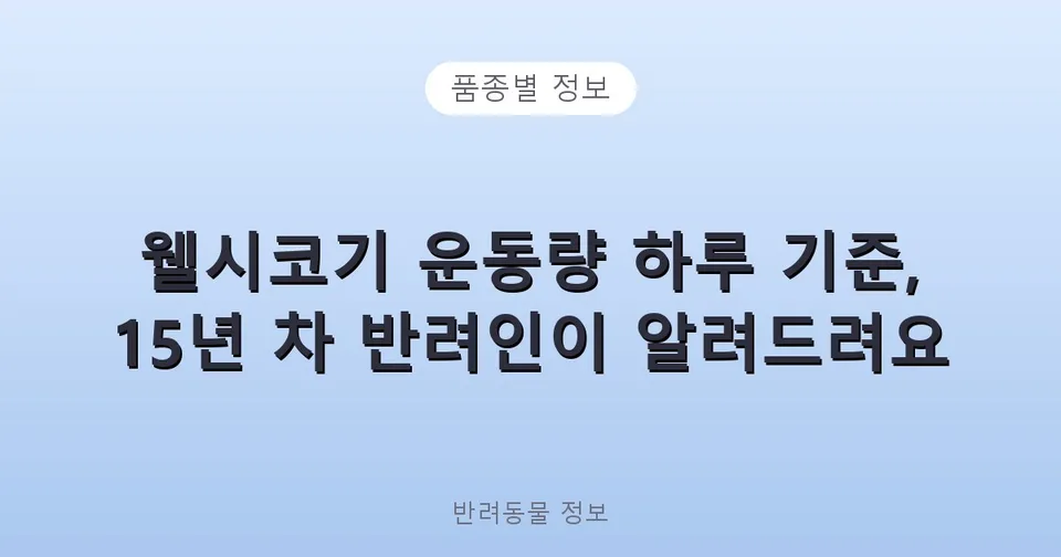 웰시코기 운동량 하루 기준, 15년 차 반려인이 알려드려요