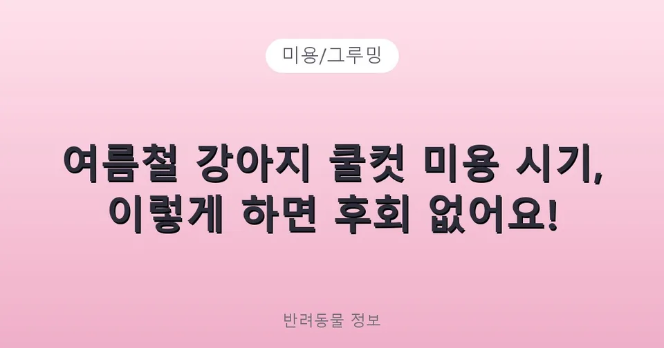 여름철 강아지 쿨컷 미용 시기, 이렇게 하면 후회 없어요!