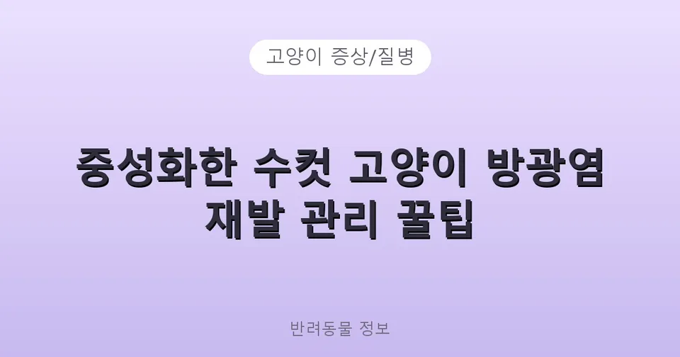 중성화한 수컷 고양이 방광염 재발 관리 꿀팁