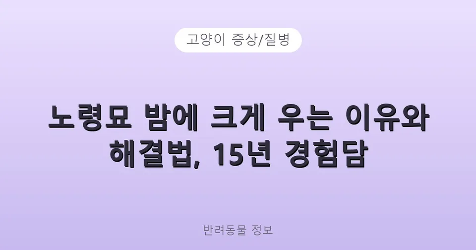 노령묘 밤에 크게 우는 이유와 해결법, 15년 경험담