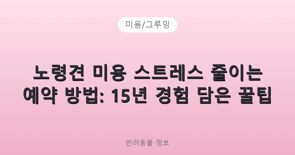 노령견 미용 스트레스 줄이는 예약 방법: 15년 경험 담은 꿀팁