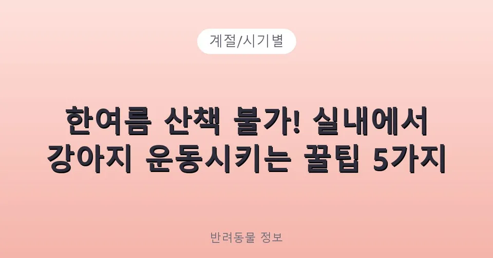 한여름 산책 불가! 실내에서 강아지 운동시키는 꿀팁 5가지