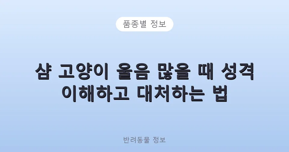 샴 고양이 울음 많을 때 성격 이해하고 대처하는 법