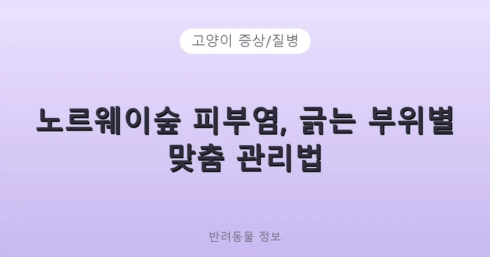 노르웨이숲 피부염, 긁는 부위별 맞춤 관리법