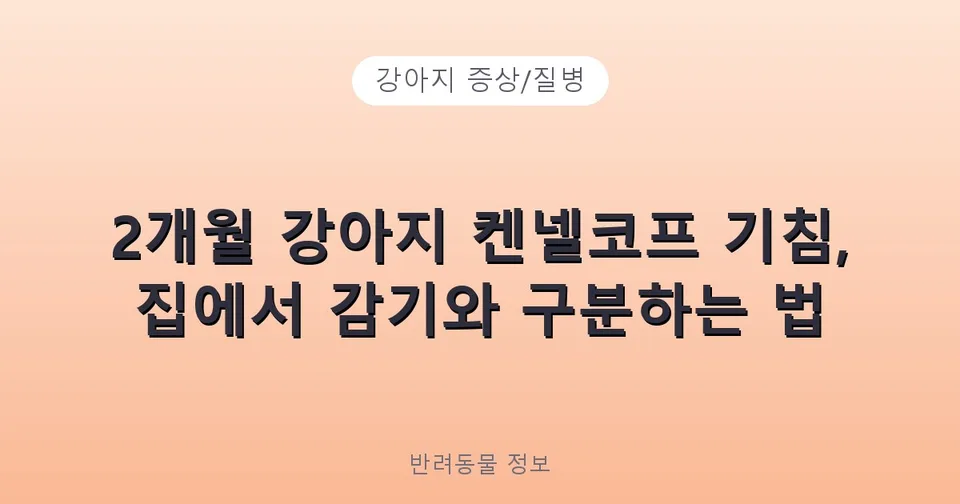 2개월 강아지 켄넬코프 기침, 집에서 감기와 구분하는 법