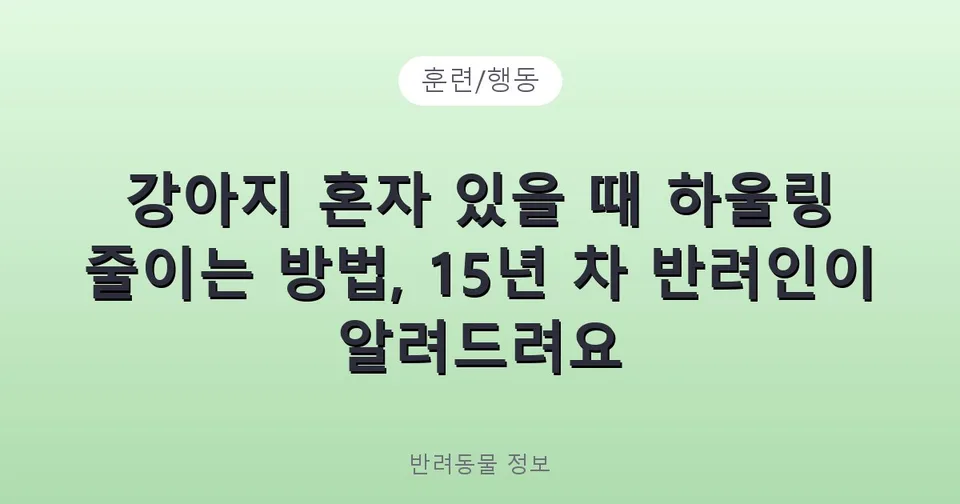 강아지 혼자 있을 때 하울링 줄이는 방법, 15년 차 반려인이 알려드려요