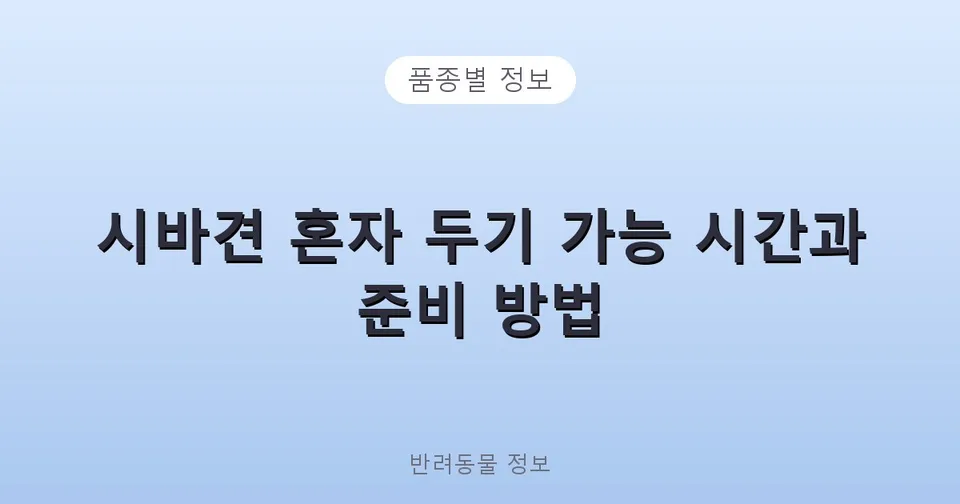 시바견 혼자 두기 가능 시간과 준비 방법