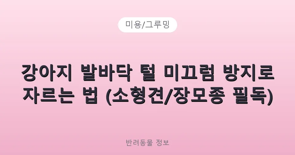 강아지 발바닥 털 미끄럼 방지로 자르는 법 (소형견/장모종 필독)