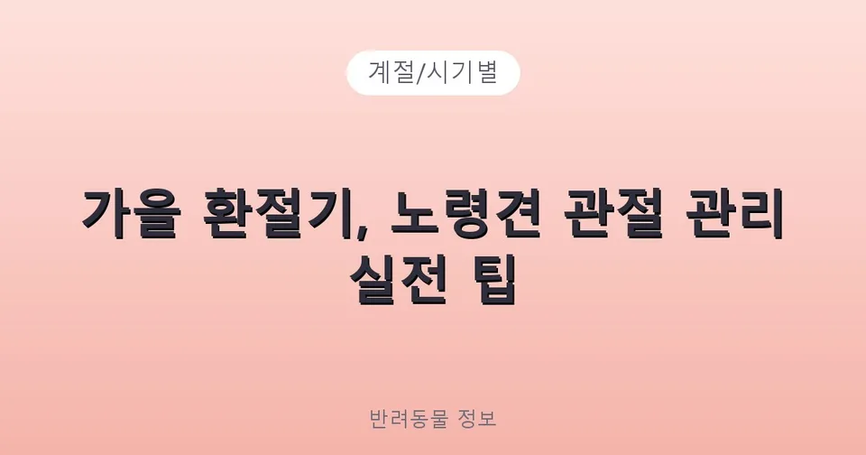 가을 환절기, 노령견 관절 관리 실전 팁