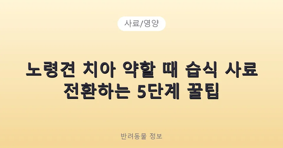 노령견 치아 약할 때 습식 사료 전환하는 5단계 꿀팁