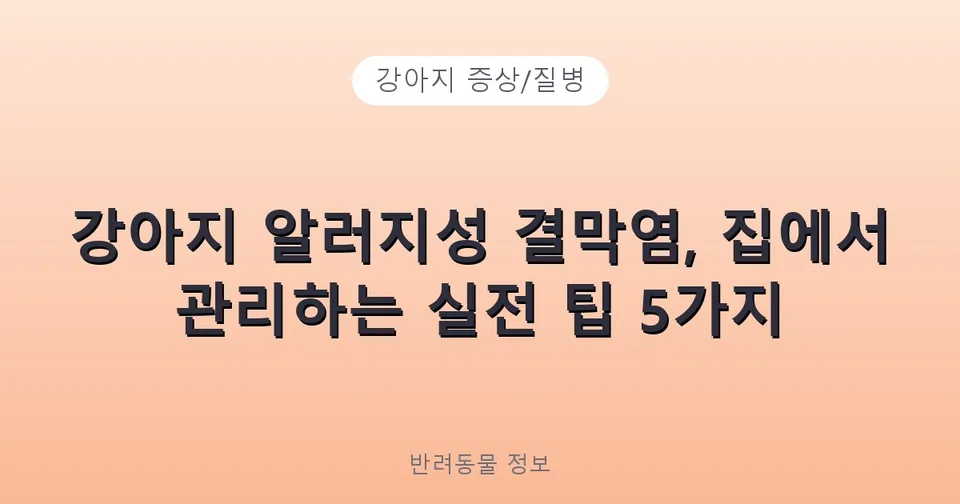 강아지 알러지성 결막염, 집에서 관리하는 실전 팁 5가지
