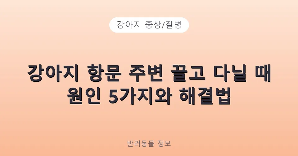 강아지 항문 주변 끌고 다닐 때 원인 5가지와 해결법
