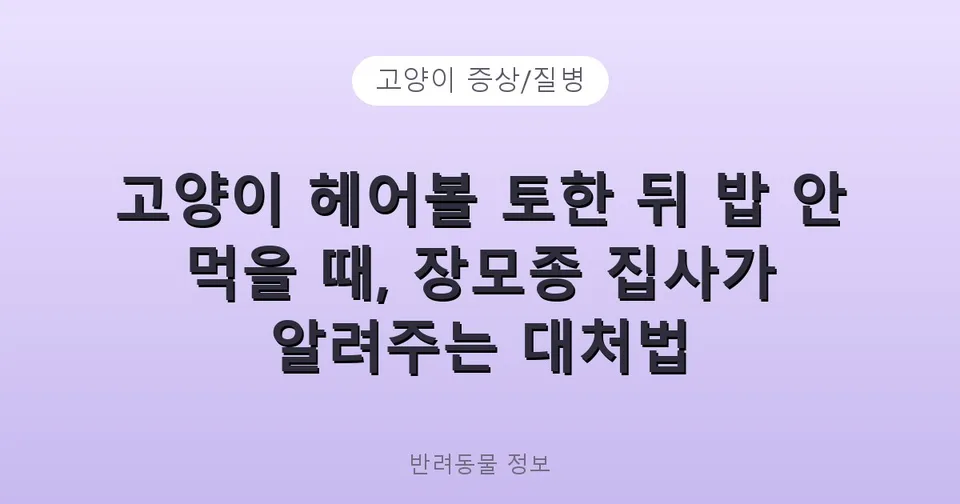고양이 헤어볼 토한 뒤 밥 안 먹을 때, 장모종 집사가 알려주는 대처법