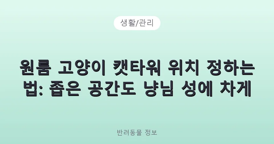 원룸 고양이 캣타워 위치 정하는 법: 좁은 공간도 냥님 성에 차게