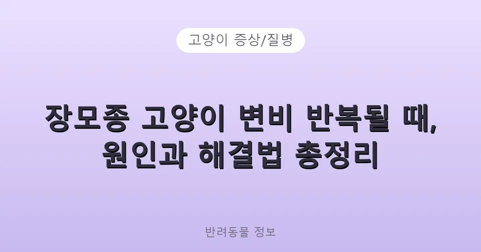 장모종 고양이 변비 반복될 때, 원인과 해결법 총정리