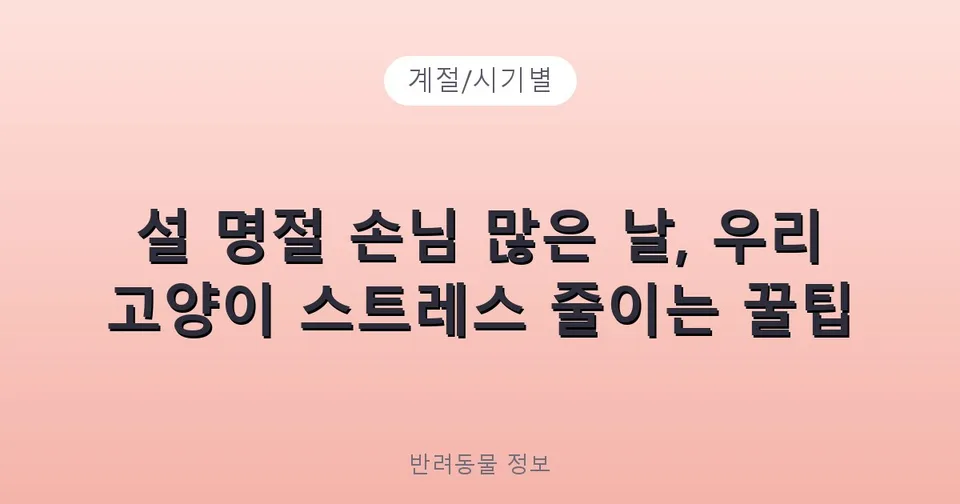 설 명절 손님 많은 날, 우리 고양이 스트레스 줄이는 꿀팁