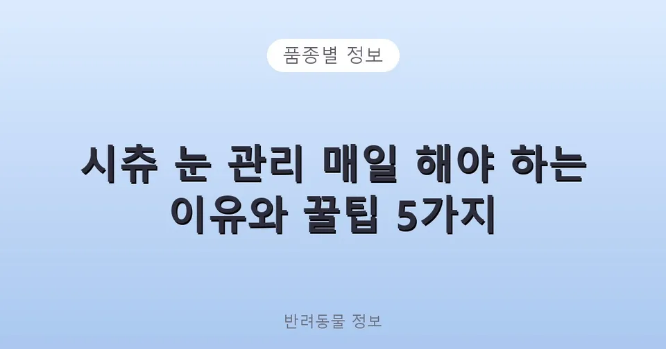 시츄 눈 관리 매일 해야 하는 이유와 꿀팁 5가지