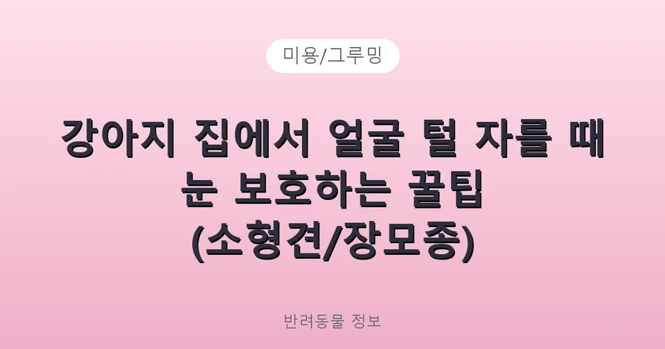 강아지 집에서 얼굴 털 자를 때 눈 보호하는 꿀팁 (소형견/장모종)