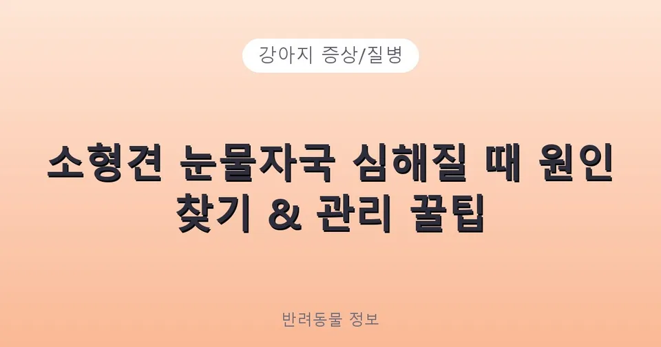 소형견 눈물자국 심해질 때 원인 찾기 & 관리 꿀팁