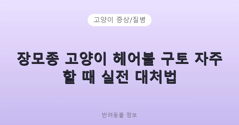 장모종 고양이 헤어볼 구토 자주 할 때 실전 대처법