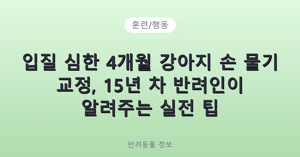 입질 심한 4개월 강아지 손 물기 교정, 15년 차 반려인이 알려주는 실전 팁