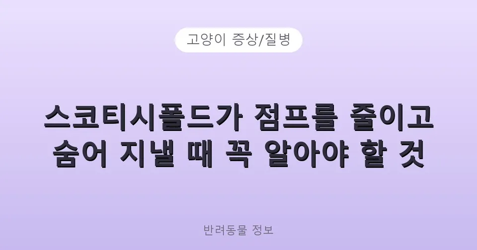 스코티시폴드가 점프를 줄이고 숨어 지낼 때 꼭 알아야 할 것