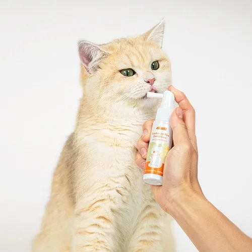 고양이 구내염 증상 관련 제품