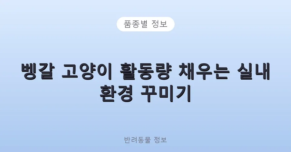 벵갈 고양이 활동량 채우는 실내 환경 꾸미기