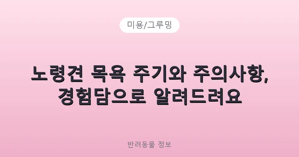 노령견 목욕 주기와 주의사항, 경험담으로 알려드려요