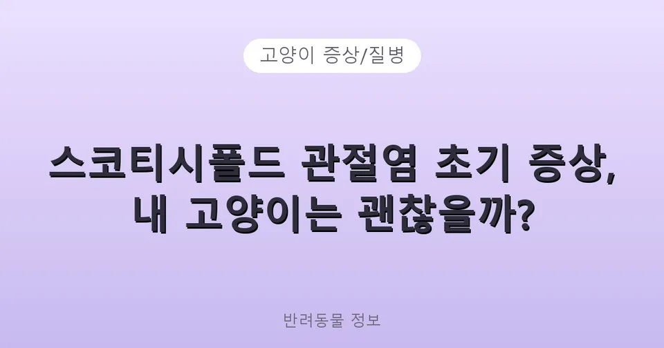 스코티시폴드 관절염 초기 증상, 내 고양이는 괜찮을까?