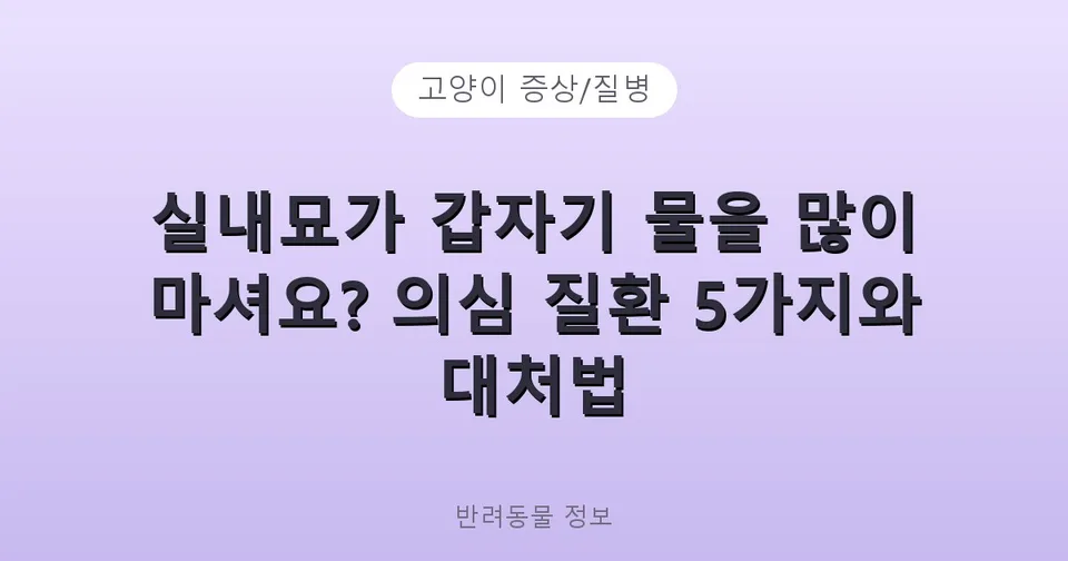 실내묘가 갑자기 물을 많이 마셔요? 의심 질환 5가지와 대처법