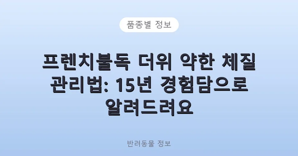 프렌치불독 더위 약한 체질 관리법: 15년 경험담으로 알려드려요