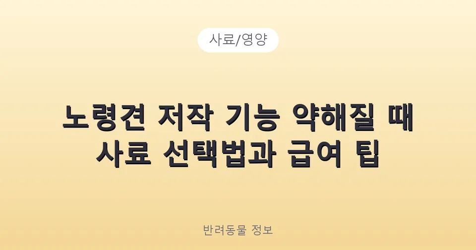 노령견 저작 기능 약해질 때 사료 선택법과 급여 팁