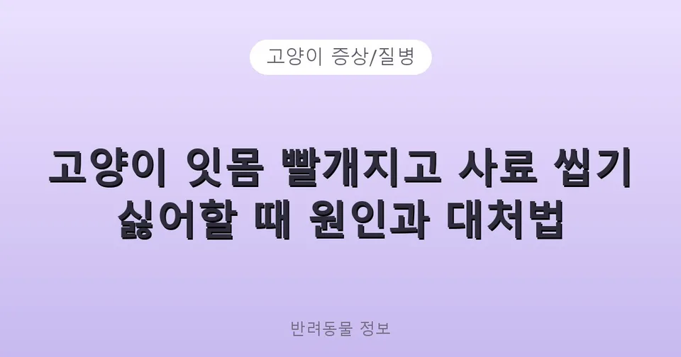 고양이 잇몸 빨개지고 사료 씹기 싫어할 때 원인과 대처법
