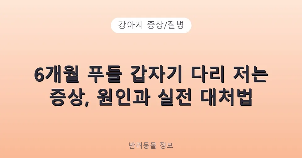 6개월 푸들 갑자기 다리 저는 증상, 원인과 실전 대처법