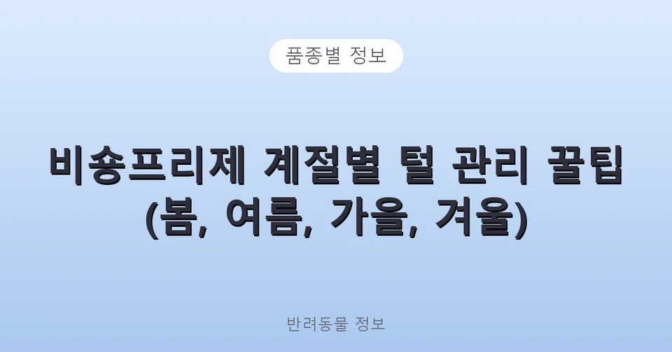 비숑 털빠짐, 정말 없을까? 털 밀면(삭발) 생기는 일과 엉킴 없는 털관리