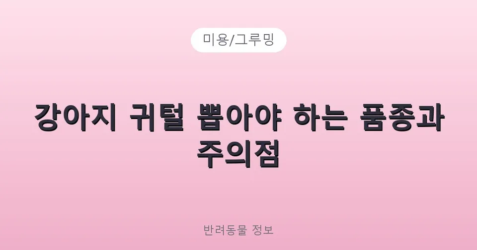 강아지 귀털 뽑기, 꼭 해야 할까? 뽑아야 할 때와 자르기로 충분할 때