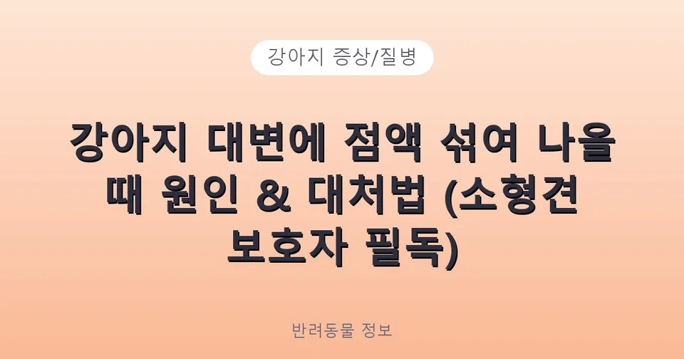 강아지 대변에 점액 섞여 나올 때 원인 & 대처법 (소형견 보호자 필독)